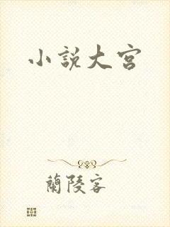 小说大宫