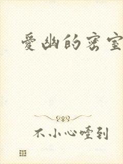 爱幽的密室小说