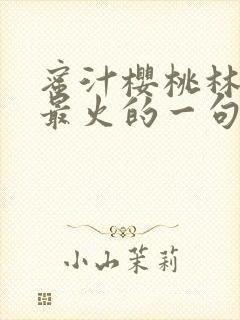 蜜汁樱桃林妙妙最火的一句