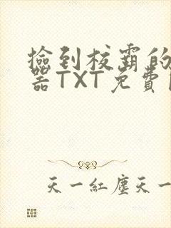 捡到校霸的遥控器TXT免费阅读