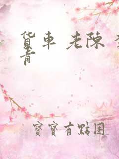 货车 老陈 李青