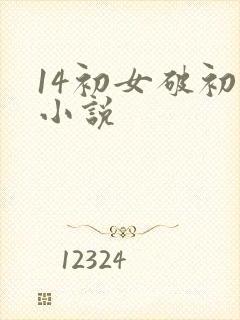14初女破初的小说