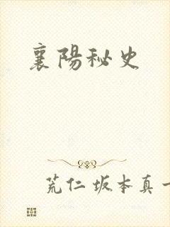 襄阳秘史