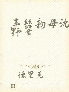 丰丝韵母沈蓉书野笔