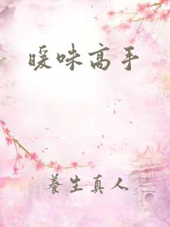 暖味高手