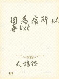 因为痛所以叫青春txt