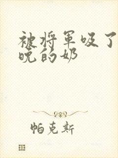 被将军吸了一整晚的奶