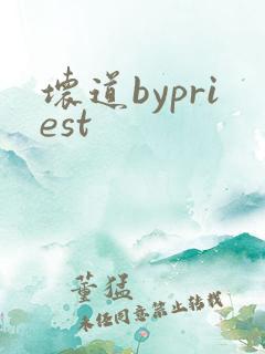 坏道bypriest