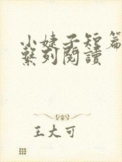 小婕子短篇小说系列阅读