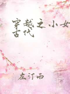 穿越之小女子闹古代