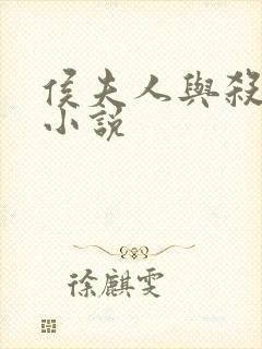 侯夫人与杀猪刀小说