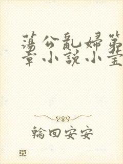 荡公乱妇第51章小说小莹