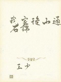 我家后山通仙界石锦