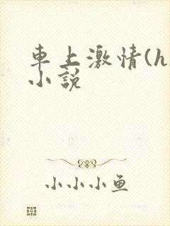 车上激情(h)小说