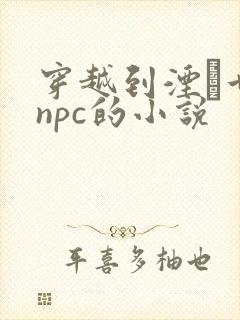 穿越到湮婸世界npc的小说