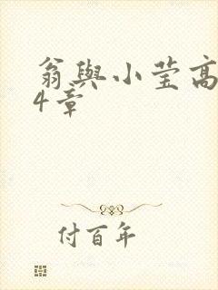 翁与小莹高潮24章