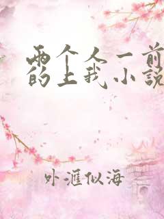 两个人一前一后的上我小说