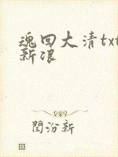 魂回大清txt新浪