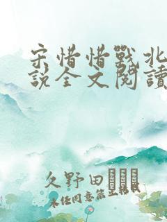 宋惜惜战北望小说全文阅读