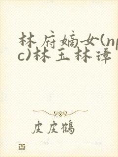 林府嫡女(npc)林玉林璋