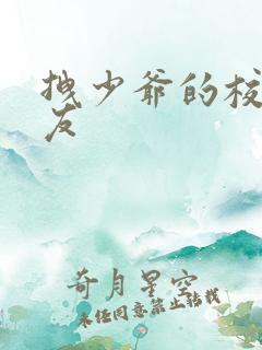 拽少爷的校花女友