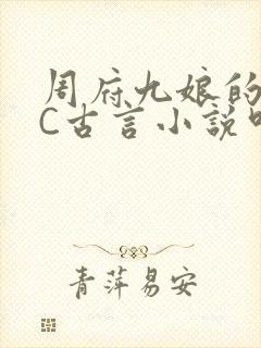 周府九娘的NPC古言小说叫什么