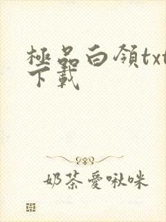 极品白领txt下载