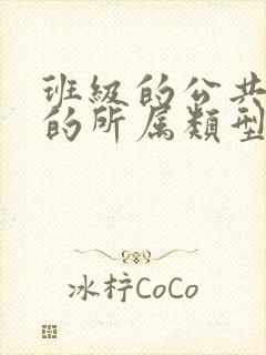 班级的公共小0的所属类型