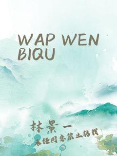 WAP WENBIQU