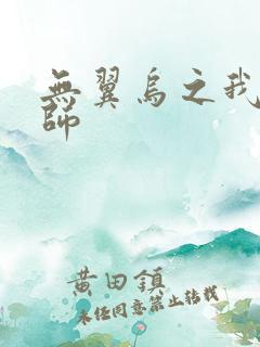 无翼乌之我的教师