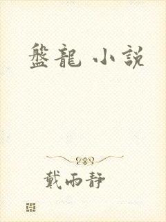 盘龙 小说