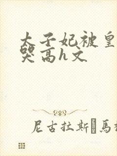 太子妃被皇上c哭高h文