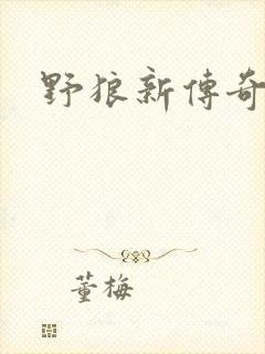 野狼新传奇