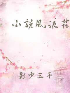 小说风流花少