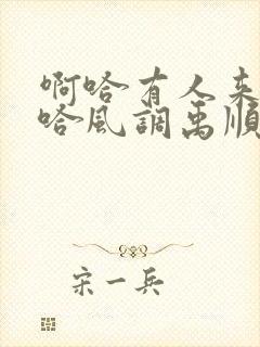 啊哈有人来了啊哈风调禹顺