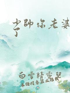 少帅你老婆又跑了