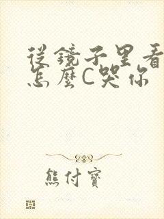 从镜子里看我是怎么C哭你