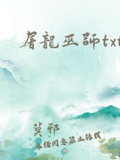 屠龙巫师txt