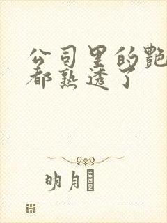 公司里的艳妇们都熟透了