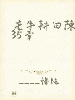 老牛耕田陈雪435章