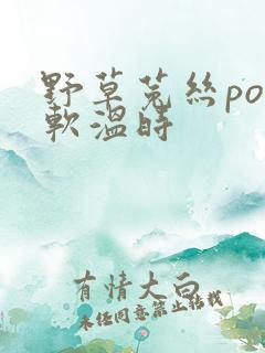野草菟丝po温软温时