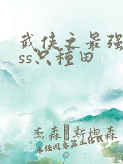 武侠之最强boss只种田