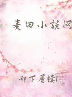 麦田小说网