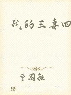 我的三妻四妾