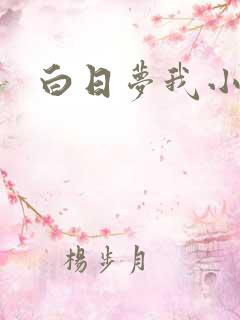 白日梦我小说