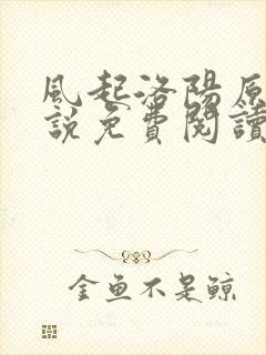 风起洛阳原著小说免费阅读