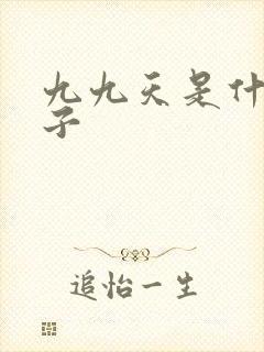 九九天是什么日子