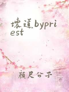 坏道bypriest