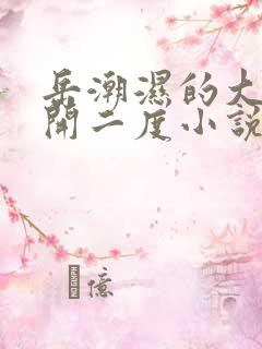岳潮湿的大肥梅开二度小说