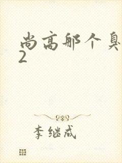 尚高那个臭小子2